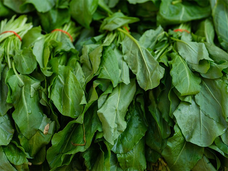baby spinach nutrition
