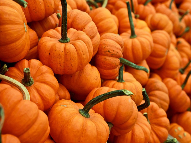 Can you eat raw pumpkin