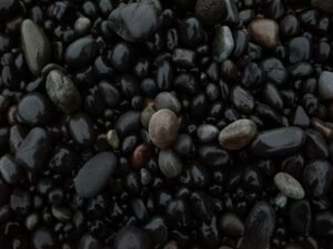 Black Lentils nutrition