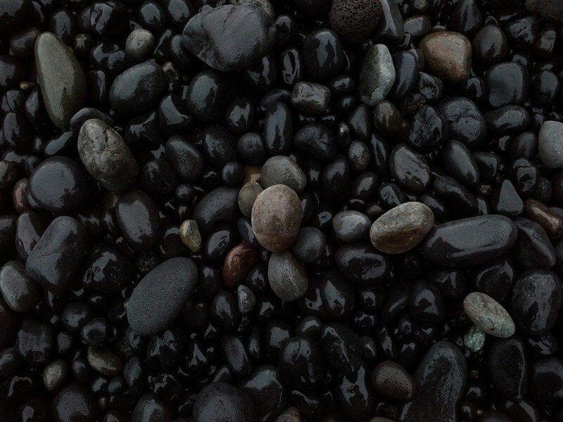 Black Lentils nutrition